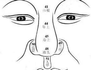 鼻環面相|面相學之鼻型解析、全面解讀鼻子與命運